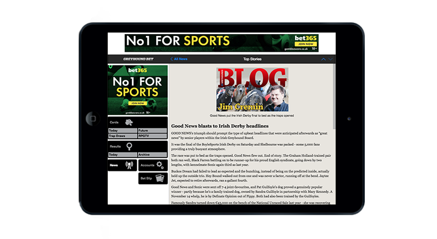 racingpost greyhoundbet