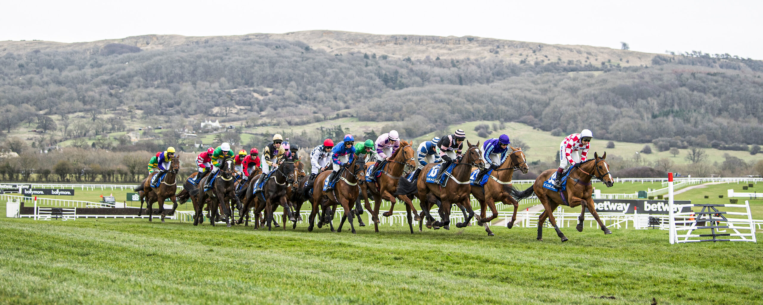 Cheltenham 2024 competition Racing Post, myracing & Racing Breaks