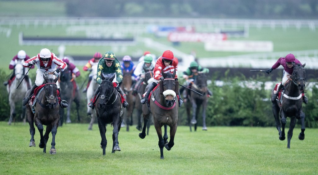 Cheltenham Cross Country winner Stumptown